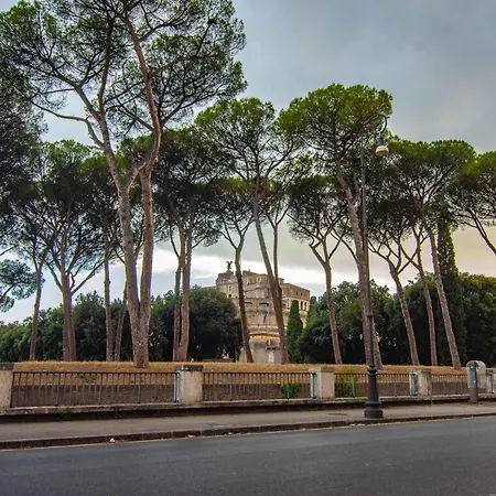 Mrbrown - Luxury Vaticano